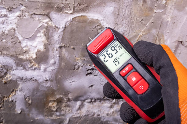 Best Office Mold Removal Services  in Elwood, KS
