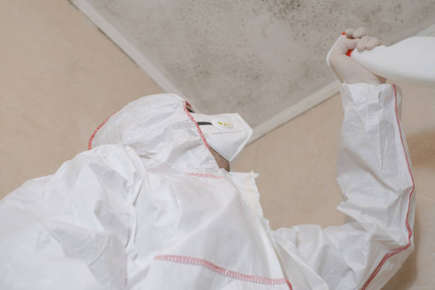 Best Fast Mold Removal  in Elwood, KS