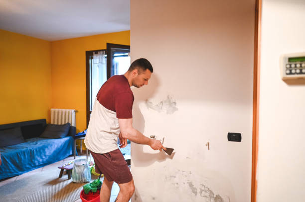 Best Mold Removal Near Me  in Elwood, KS