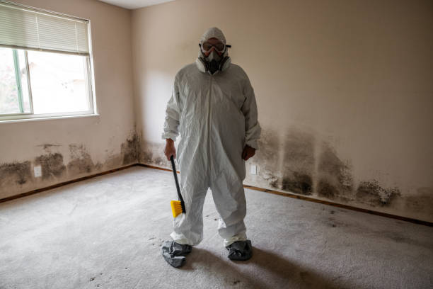 Best Local Mold Removal Service  in Elwood, KS